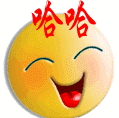 哈哈，，好极了.gif