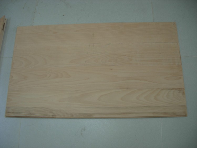 DSCN9554.jpg