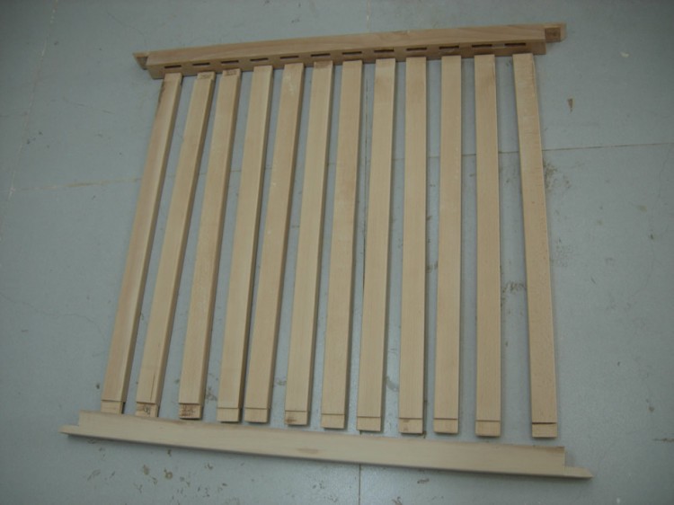 DSCN9561.jpg